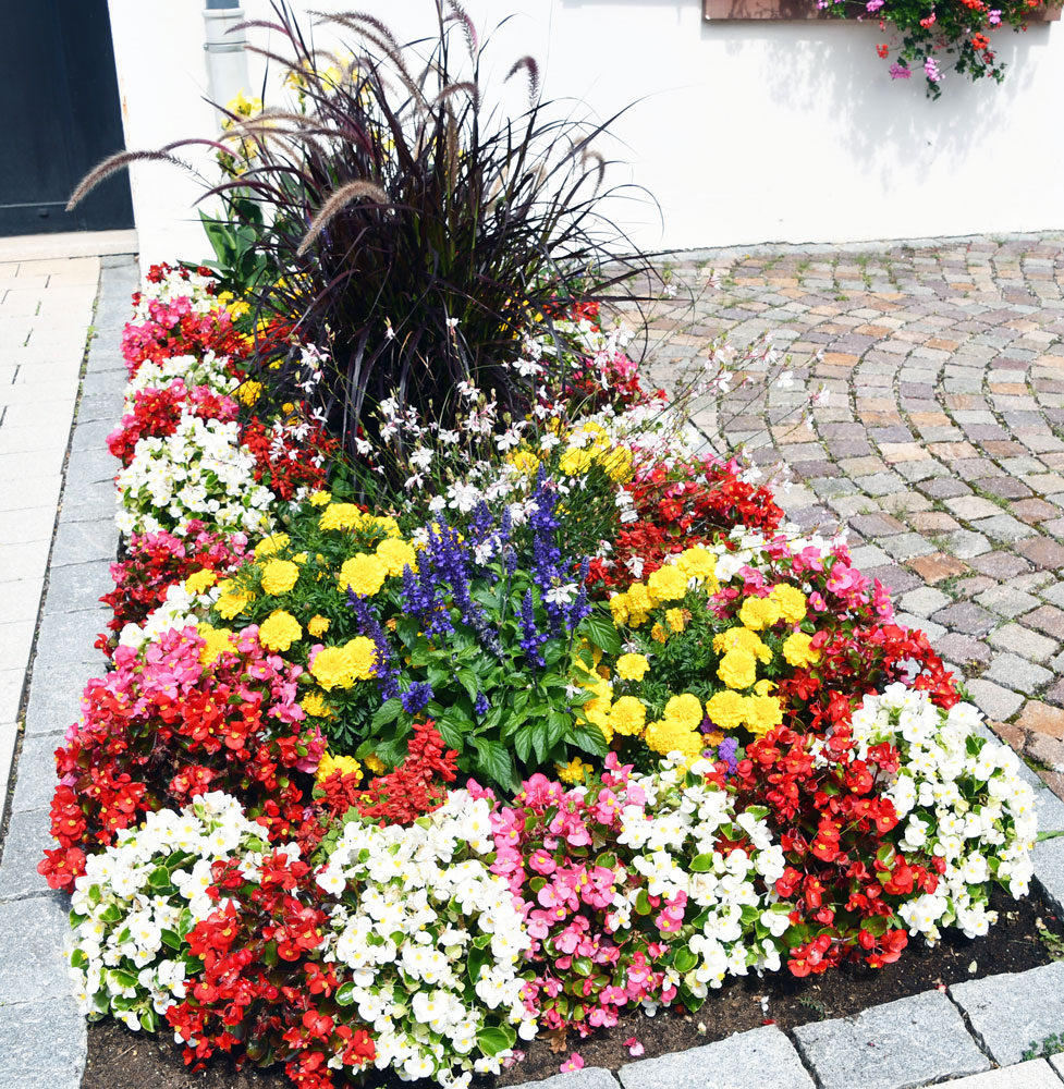 village fleuri2
